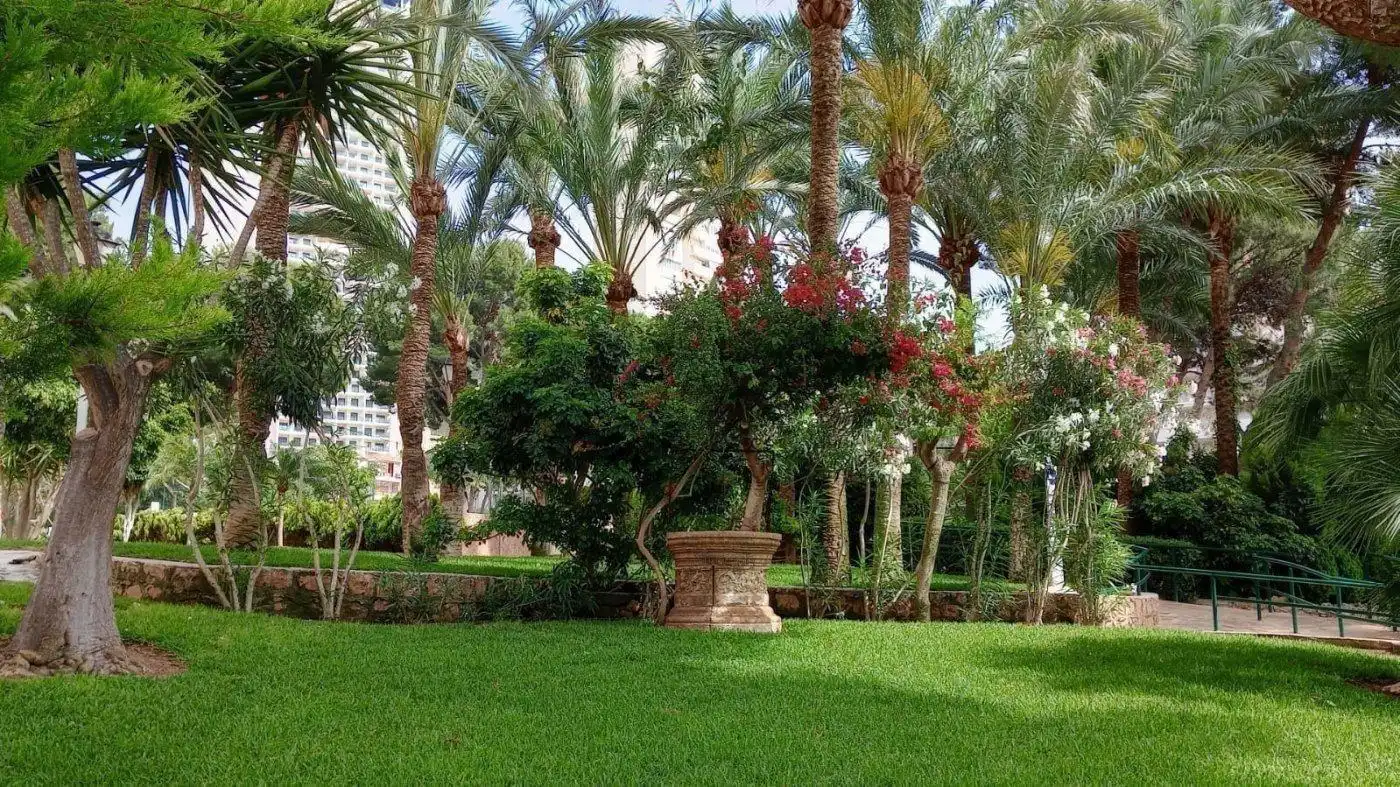 Jardín de Apartamento en venta en Rincón de Loix