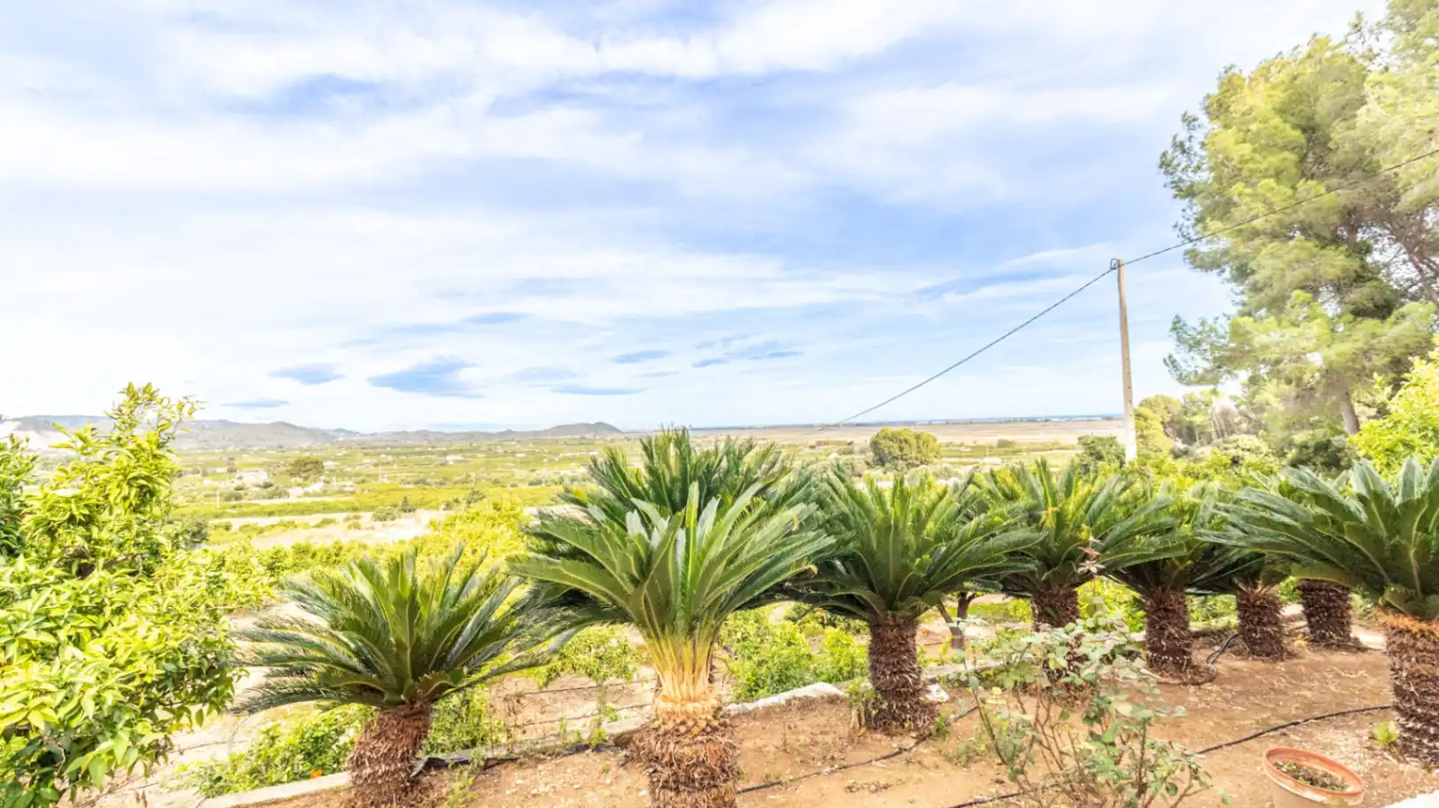 Casa rústica con jardín en venta en Pego, imagen 14