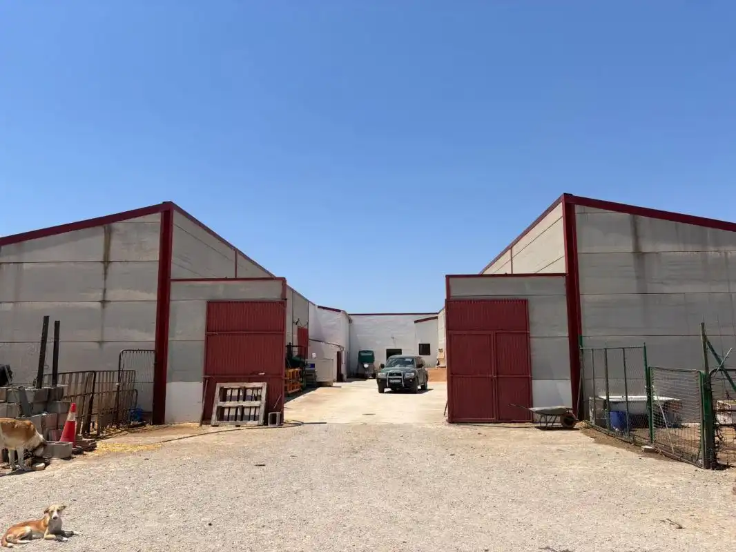 Vista exterior de Finca rústica en venda en El Saucejo amb Aire condicionat, Calefacció i Moblat