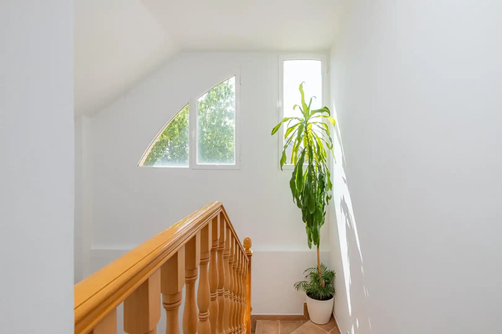Villa avec jardin à vendre à Calle MUSICA DE LA, imagen 42