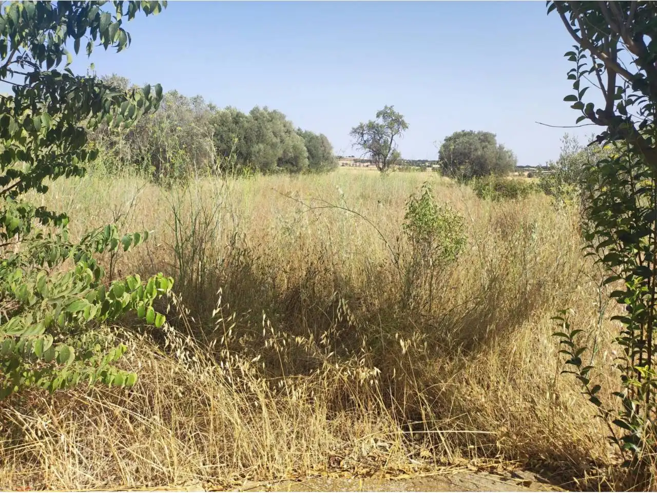 Terreno industrial en venta en Fonz