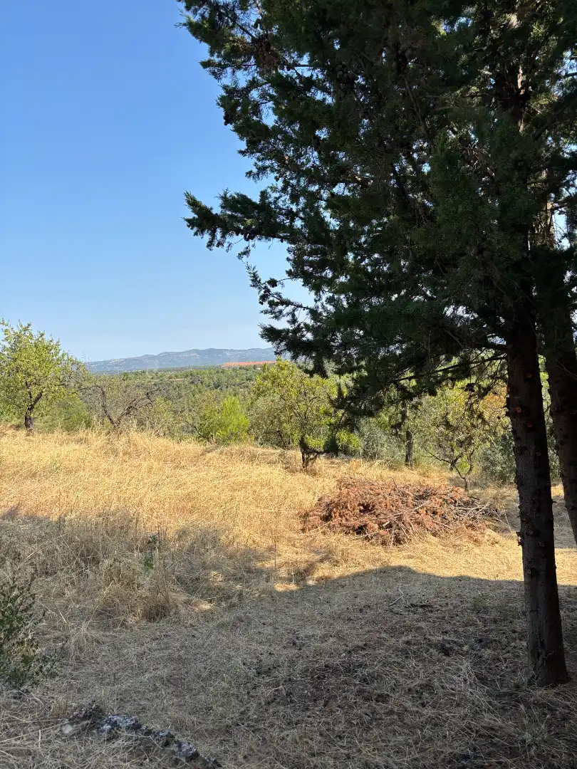 Rural land for sale in Carrer de la Muntanya, imagen 36