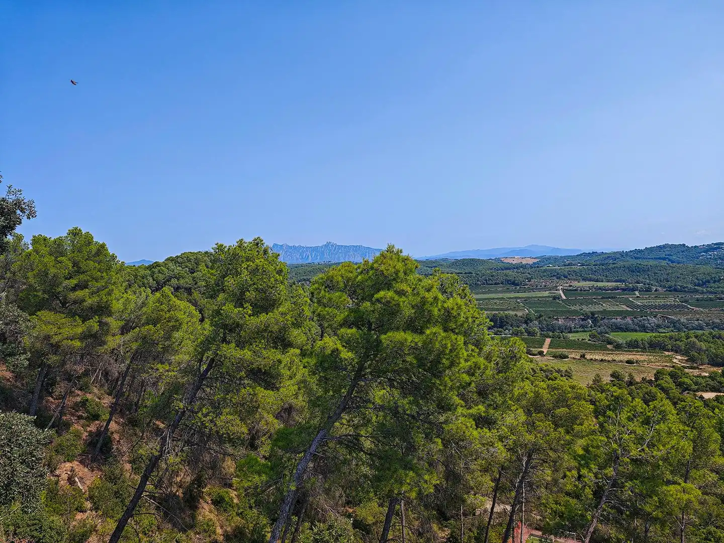 Houses for sale in Cabrera d'Anoia  with Heating, Private garden and Terrace
