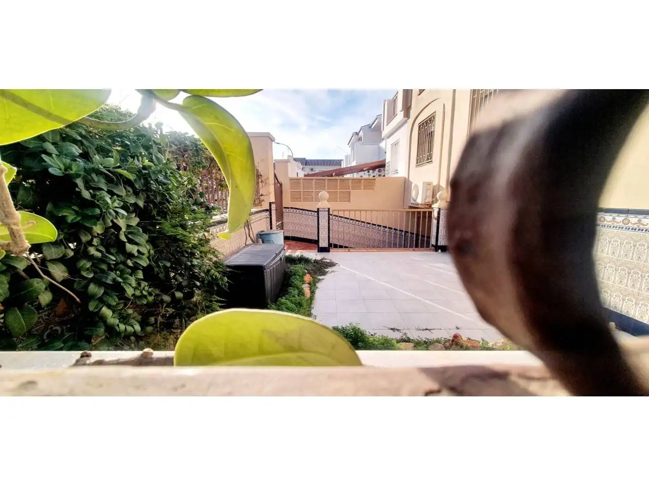 Garden of Detached homes for sale in Roquetas de Mar  with Air Conditioner, Heating and Private garden