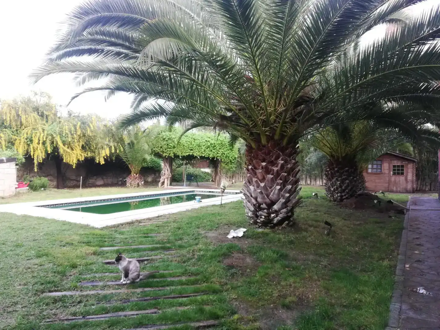 Piscina de Casa o xalet en venda en San Roque - La Cruz - La Rozuela