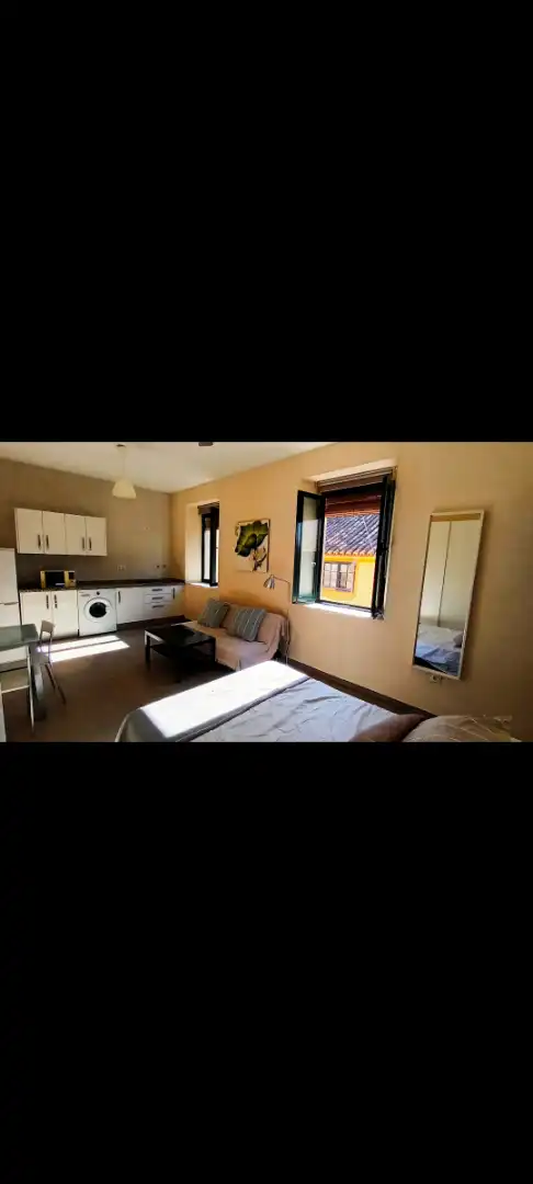 Schlafzimmer von Wohnung zur Miete in Málaga mit Möbliert