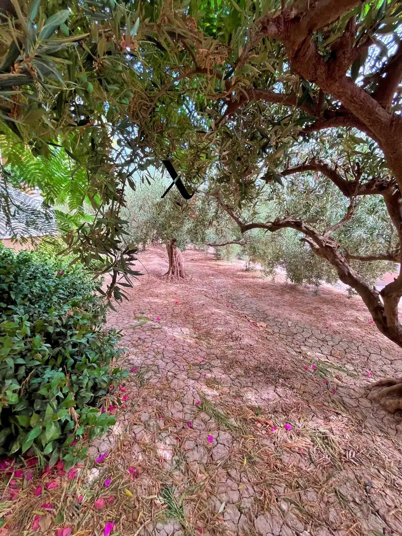 Villa zum Verkauf in Camino Camino Porvenir, imagen 57