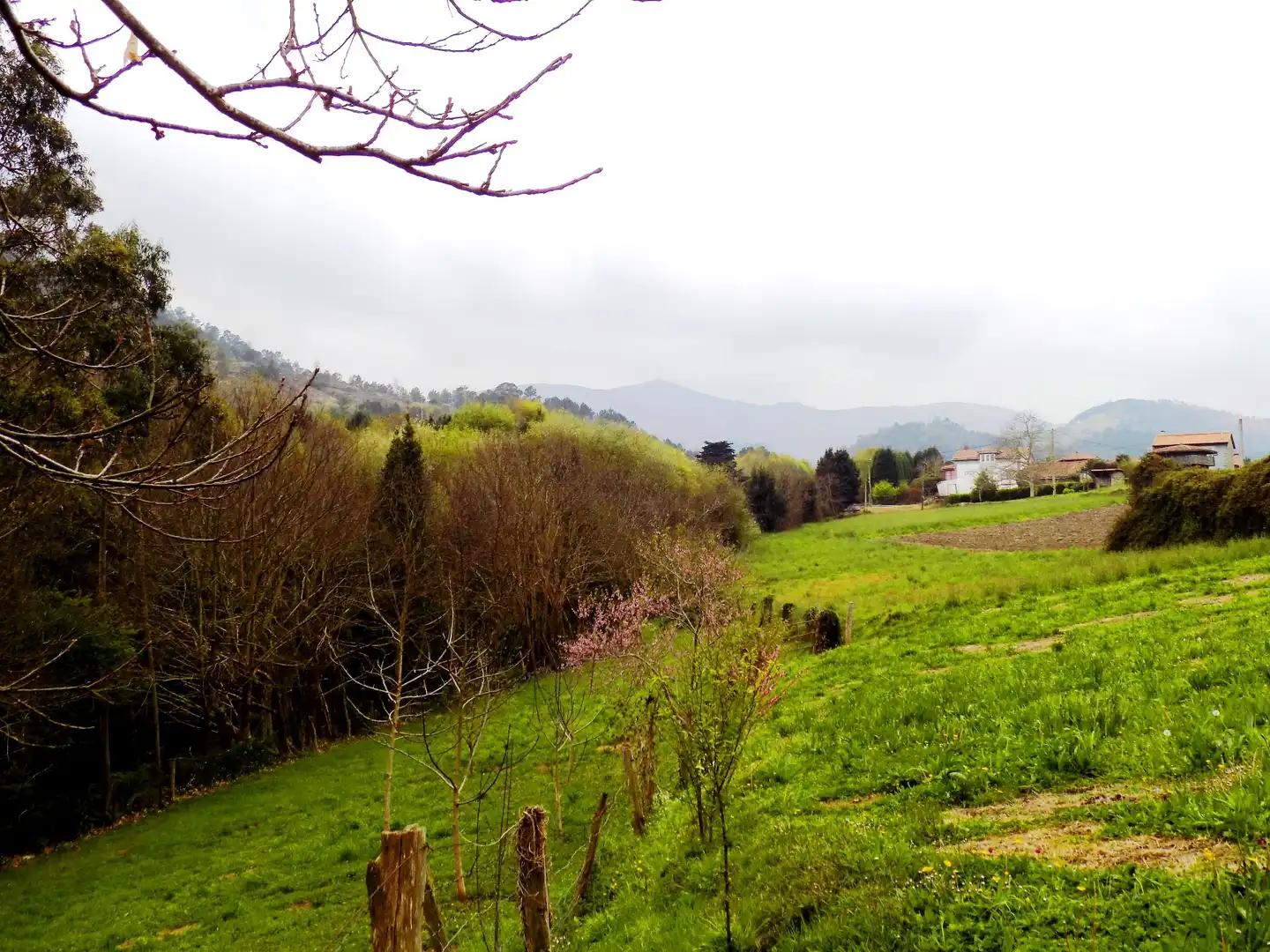 House with garden for sale in Cudillero, imagen 15