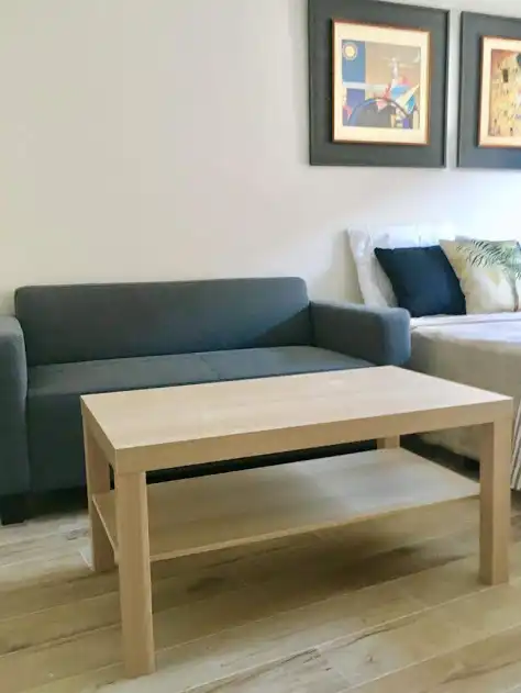 Living room of Study for rent in Linares  with Air Conditioner, Heating and Furnished
