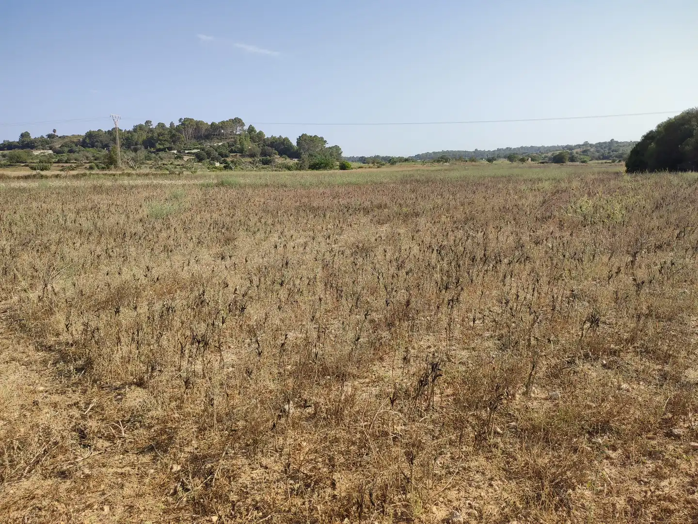 Terrain rustique à vendre à Sant Joan, imagen 14