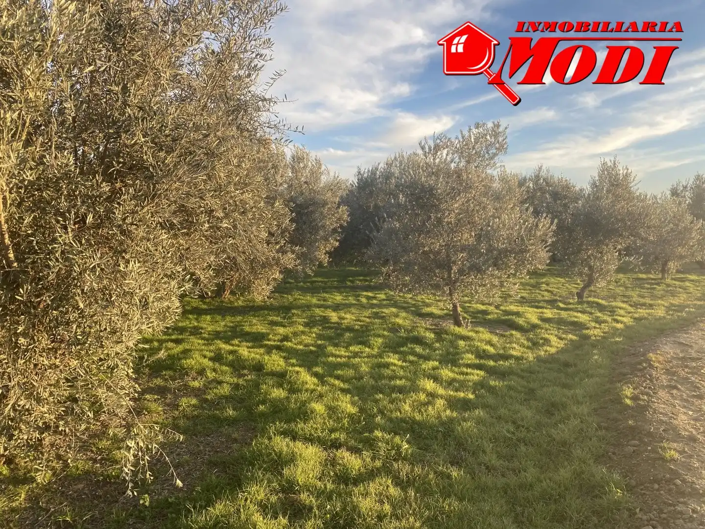 Terrenys i solars en venda a Belicena, imagen 14