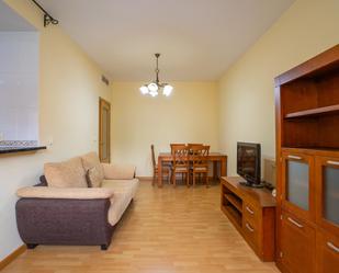 Sala d'estar de Apartament en venda en Ceutí amb Aire condicionat i Terrassa