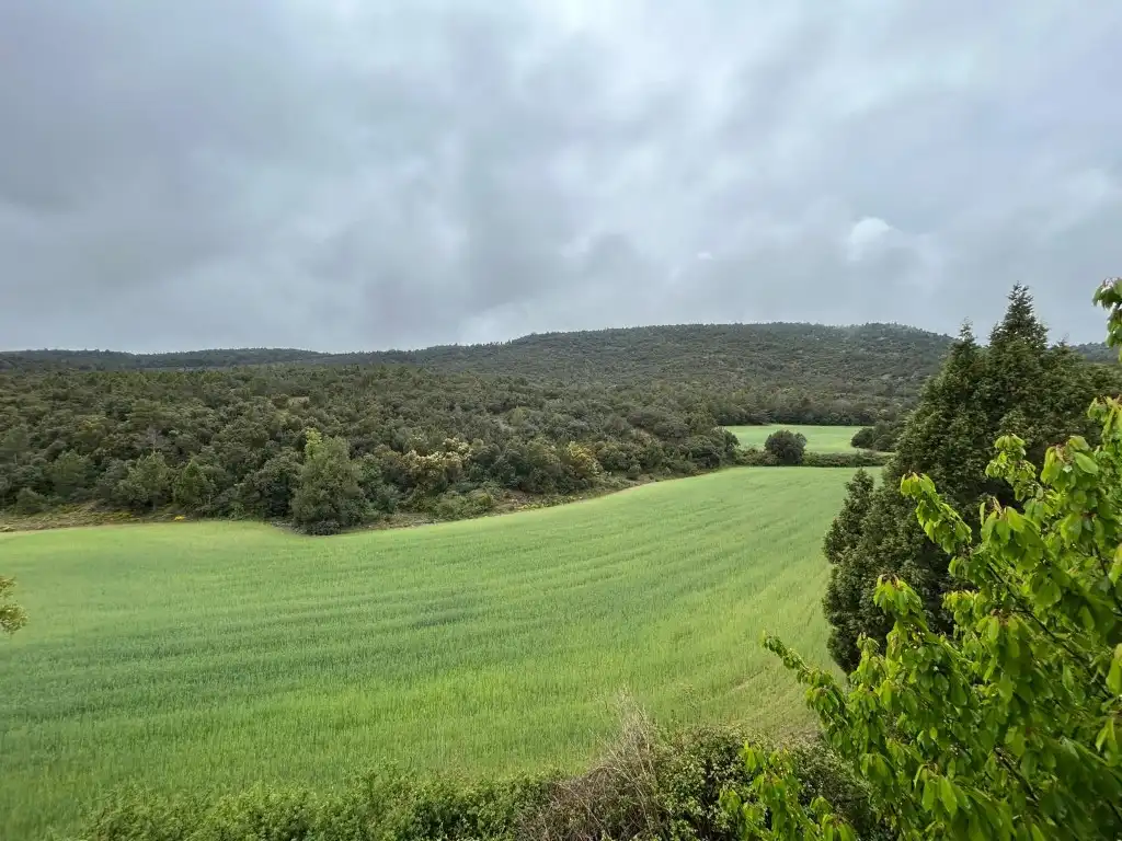 Country homes for sale in El Toro