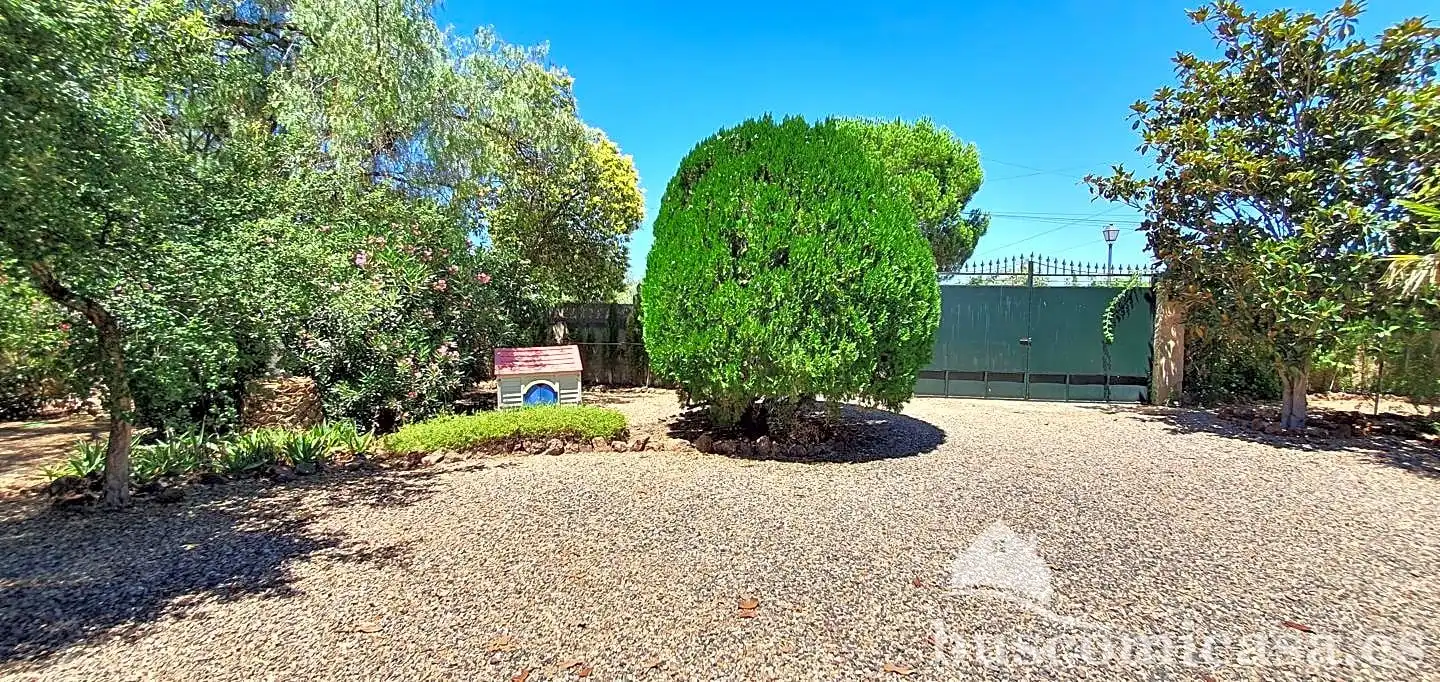 Vista exterior de Casa o xalet en venda en Linares amb Aire condicionat, Calefacció i Jardí privat