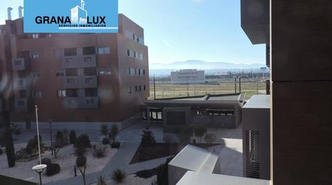 Foto 5 de Estudio de alquiler en Campus de la Salud,  Granada Capital