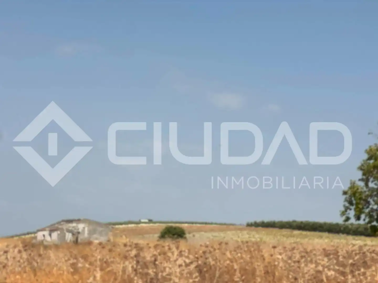 Lands and plots for sale in Lebrija, imagen 7