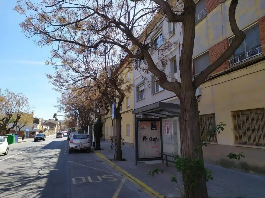 Gewerbefläche zum Verkauf in EDUARDO PEÑA, imagen 9