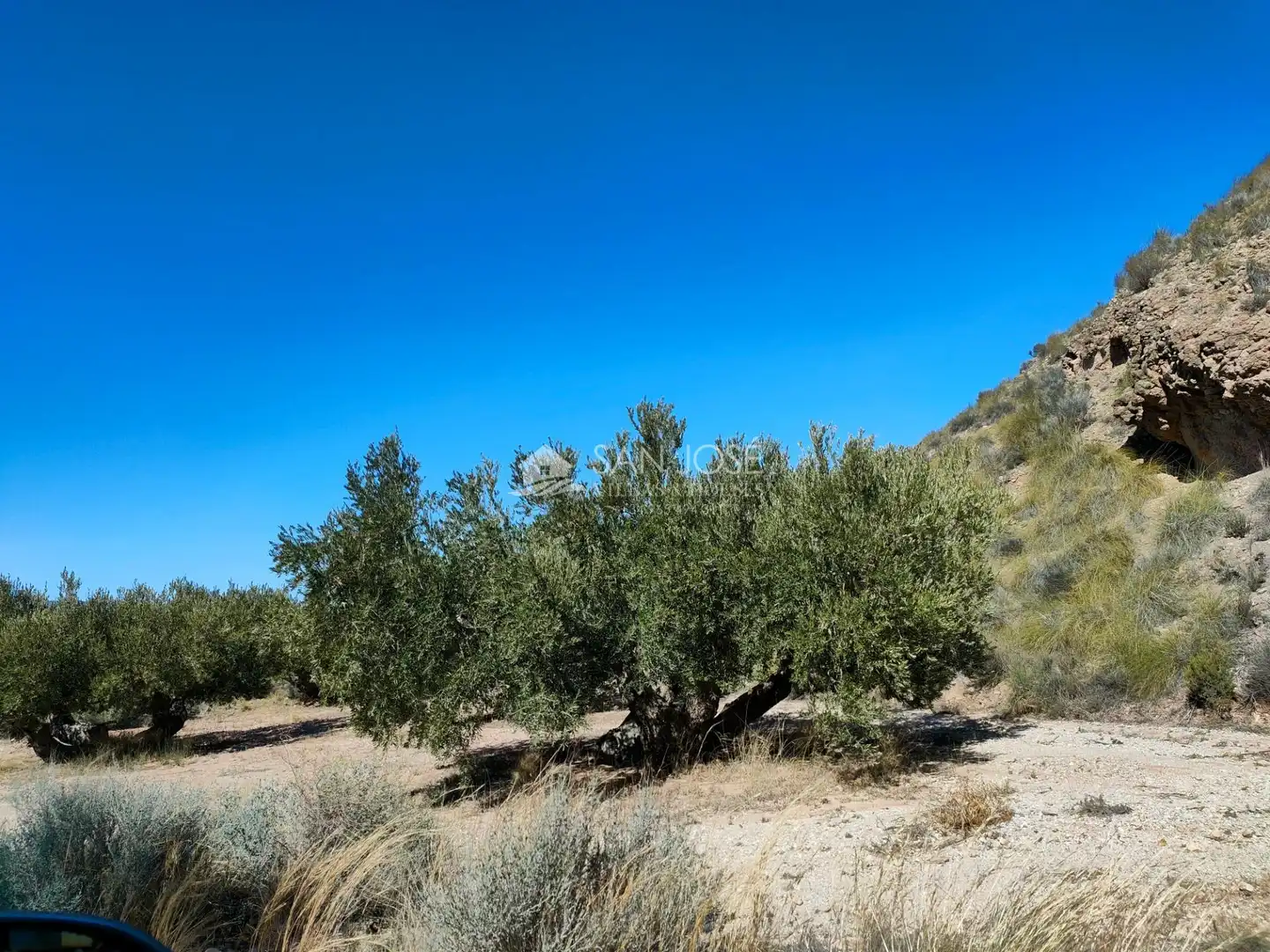Lands and plots for sale in Abanilla, imagen 18