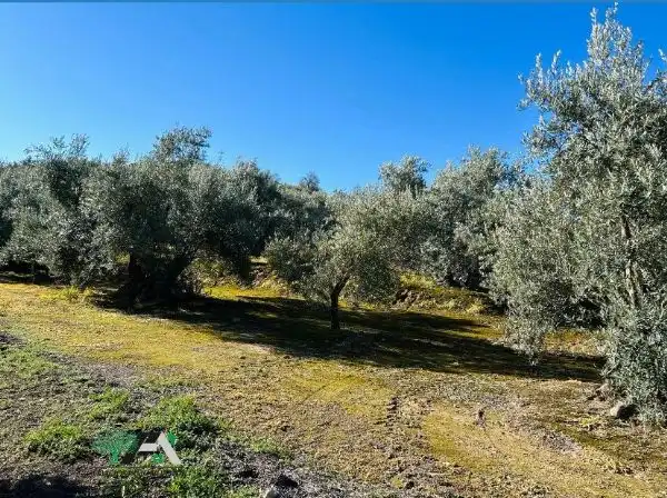 Terrenos y solares en venta en Úbeda, imagen 9