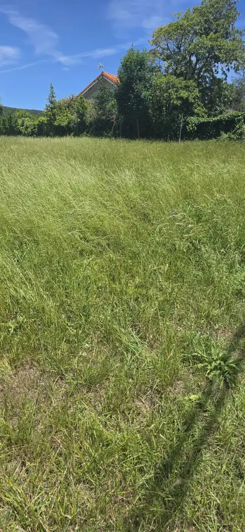 Terreny residencial en venda a Meruelo
