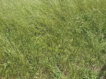 Wohnbaugrundstück zum Verkauf in Meruelo