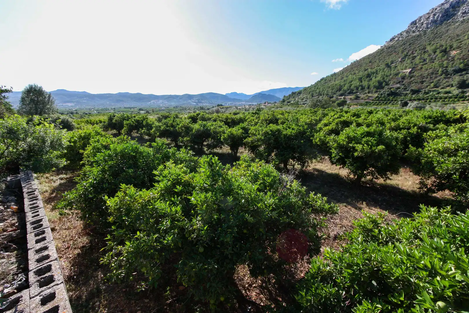 Wohnbaugrundstück zum Verkauf in Sagra