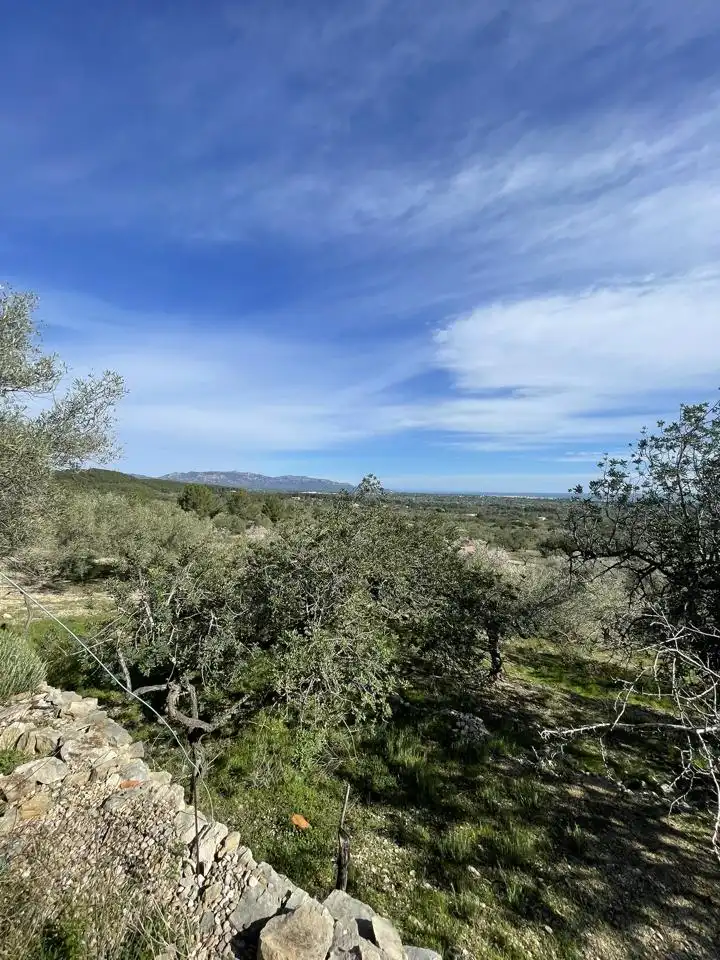 Finca rústica en venta en L'Ametlla de Mar 