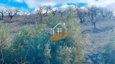 Finca Rúst. en venta en VélezRubio., immagine 3