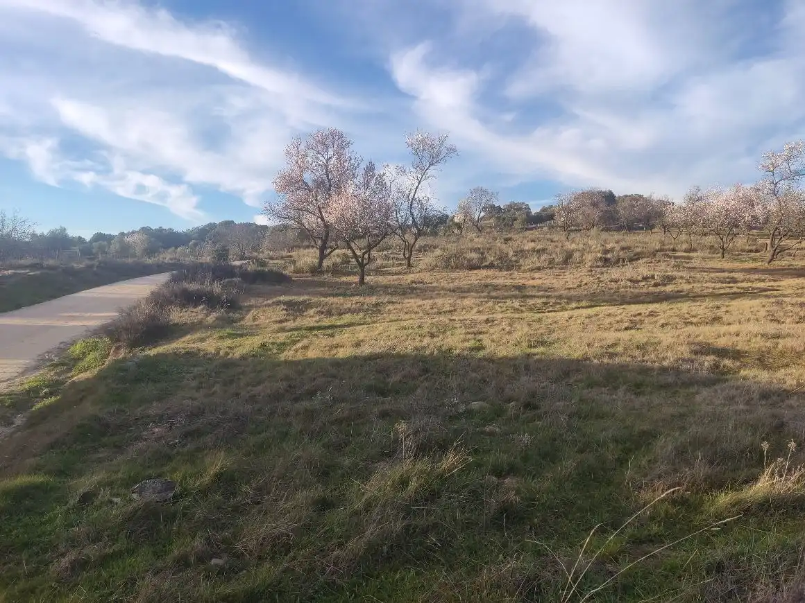 Rural land for sale in San Martín de Valdeiglesias, imagen 4