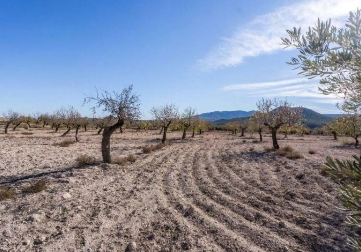 Finca rústica en venta en Vélez-Rubio con Calefacción, Jardín privado y Trastero