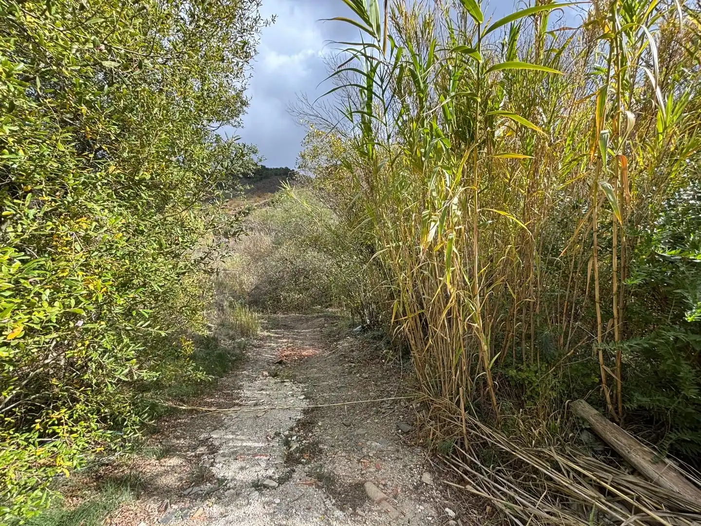 Terreno rústico en venta en Porrera, imagen 16