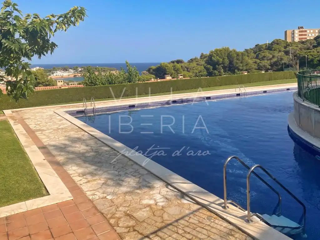 Adossat amb piscina en venda a Calle Manel Carrasco Formiguera 9, imagen 47