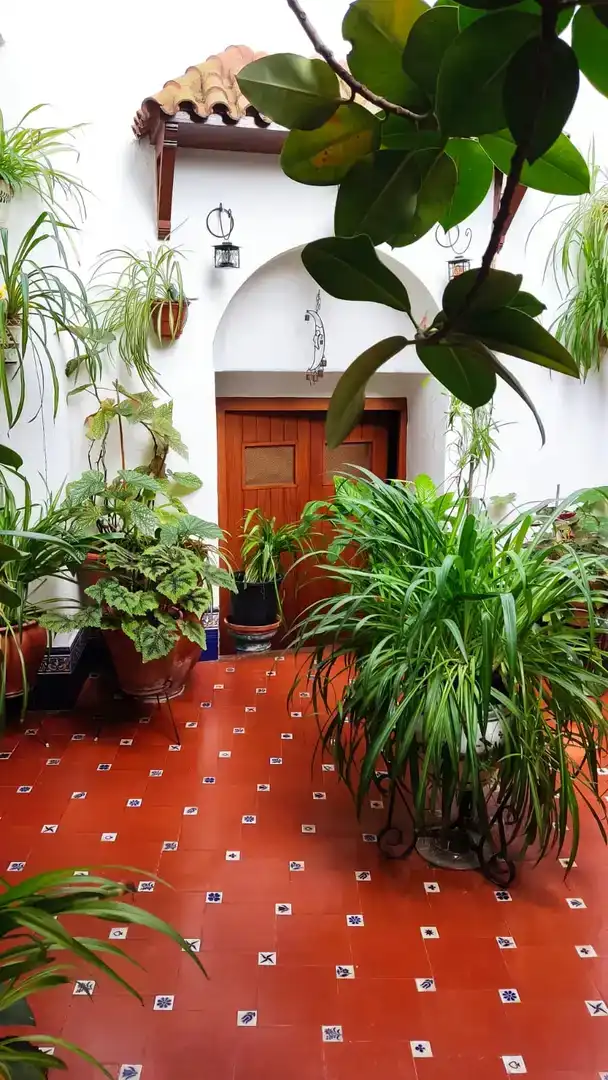 Ground floor for sale in Enguera  with Balcony