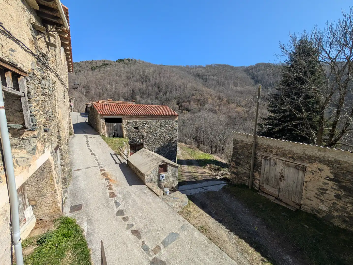 Vista exterior de Finca rústica en venta en Molló