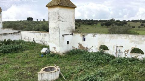 Foto 3 de Finca rústica en venda a Huévar del Aljarafe, Sevilla