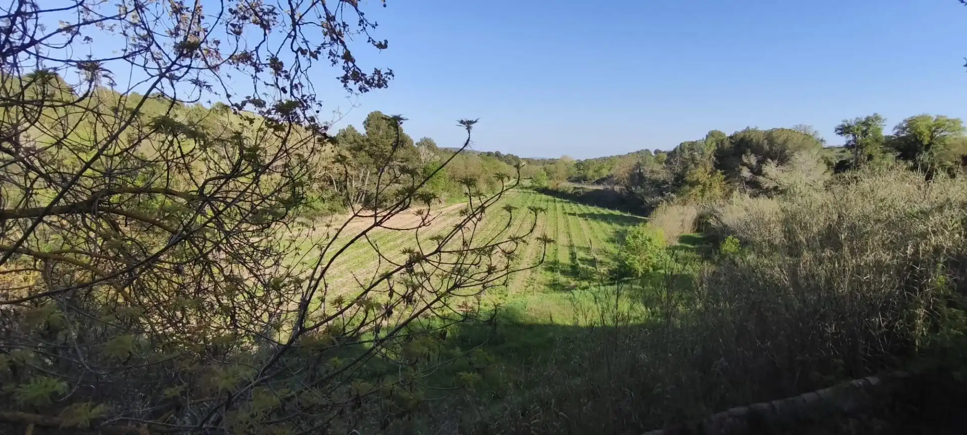 Casa rústica amb jardí en venda a Sant Martí Sarroca, imagen 18