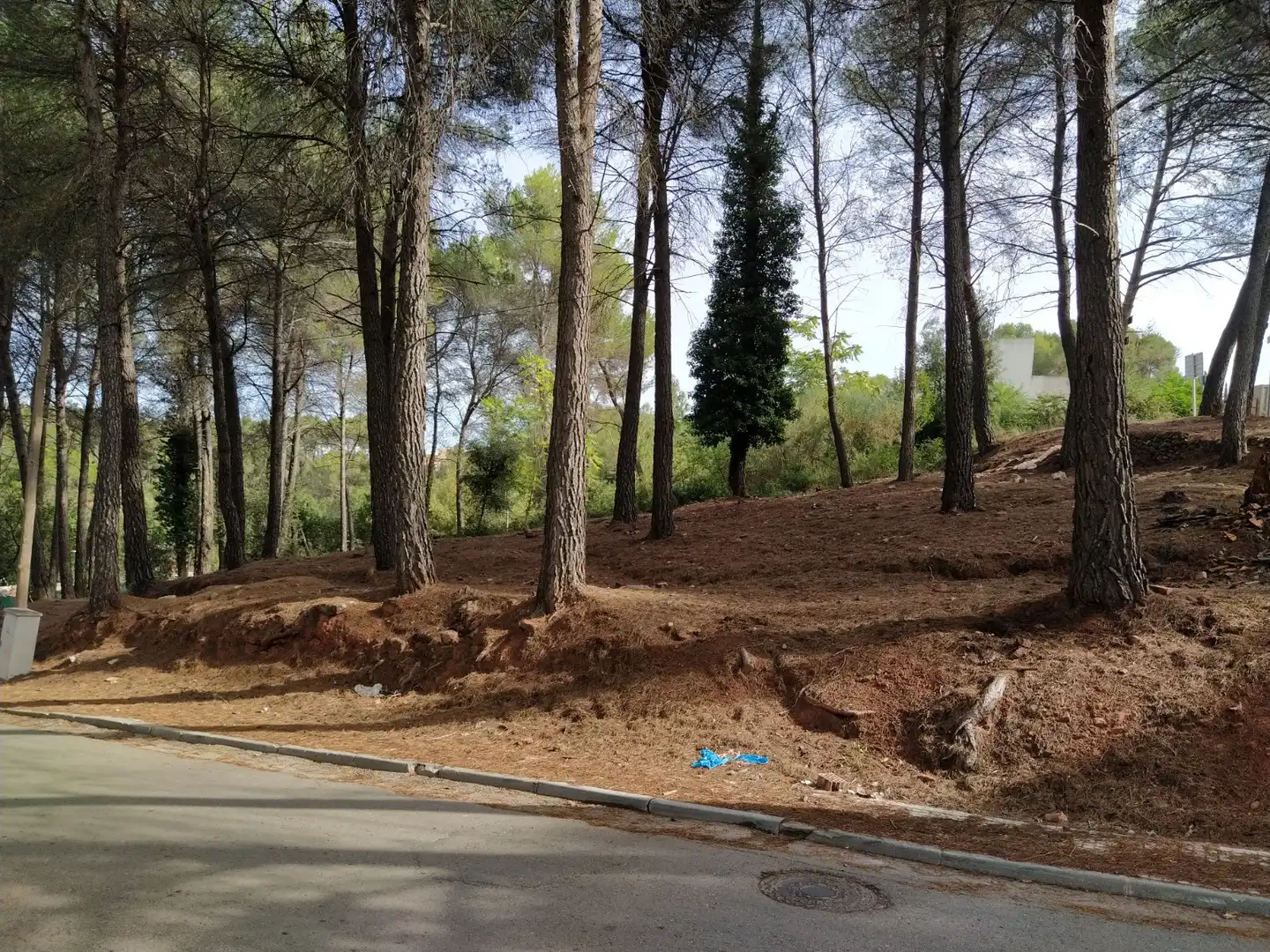Terreny residencial en venda a Avinguda de les Cases Pairals 31, imagen 4
