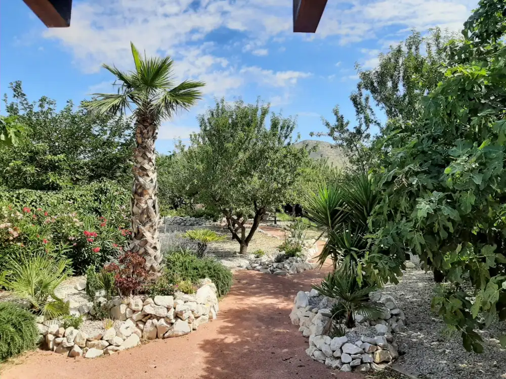 Jardí de Casa o xalet en venda en Alicante / Alacant amb Moblat
