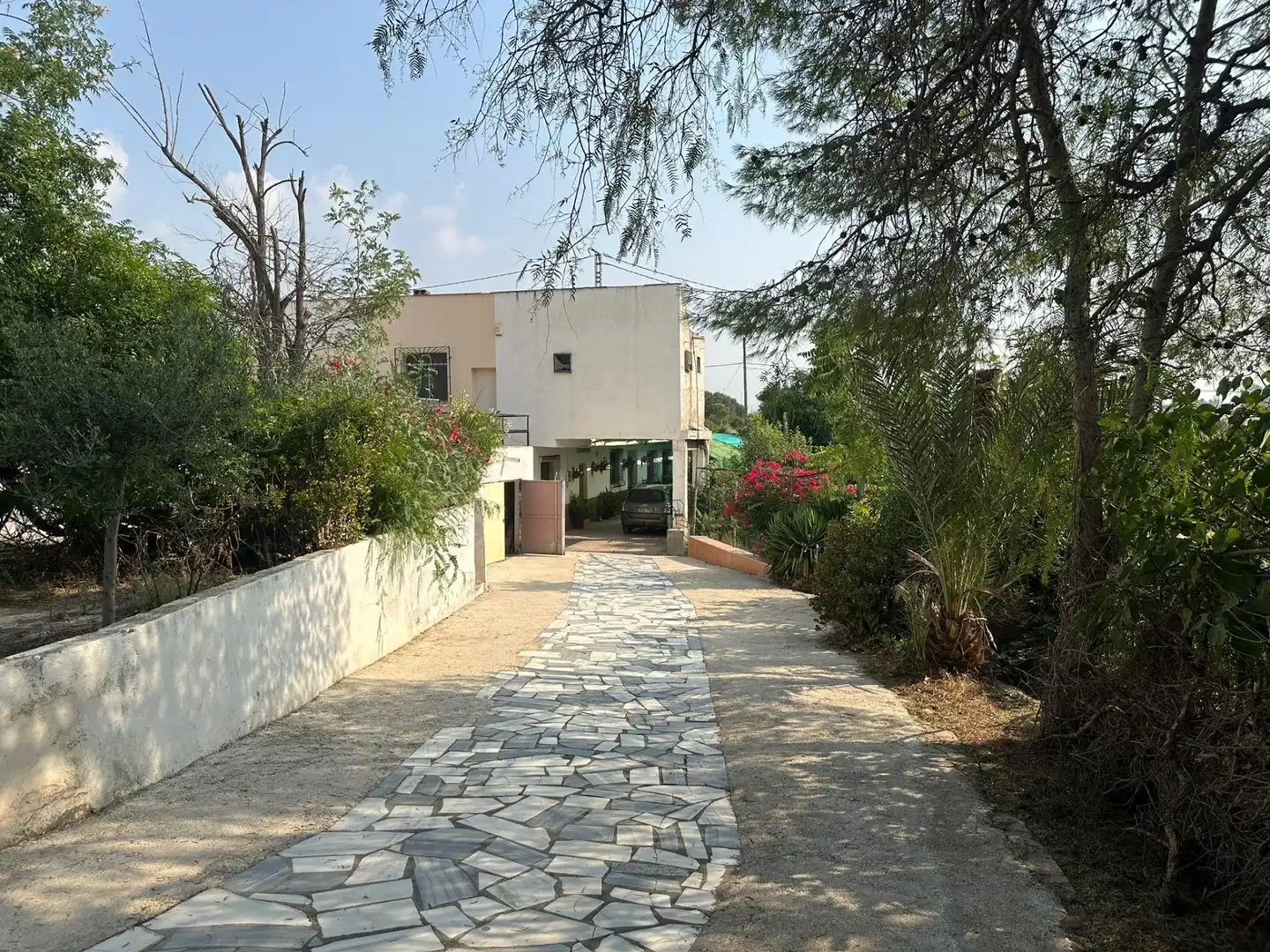 Business premises for sale in Pedanías Centro, imagen 39