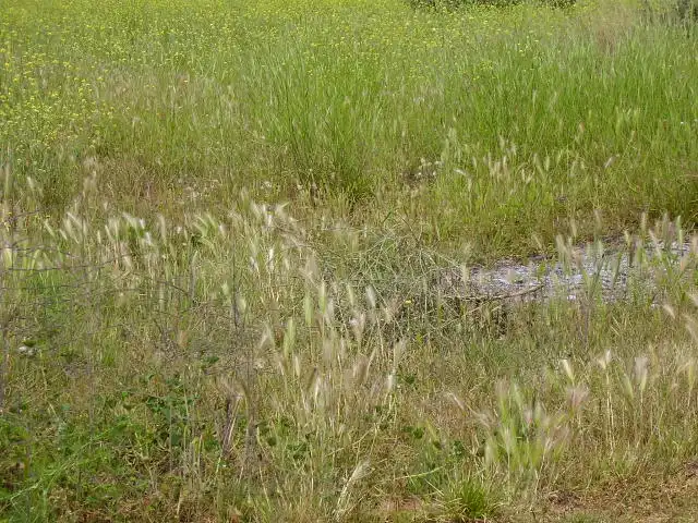 Residential land for sale in Calle Rafael Balaguer 75, imagen 8