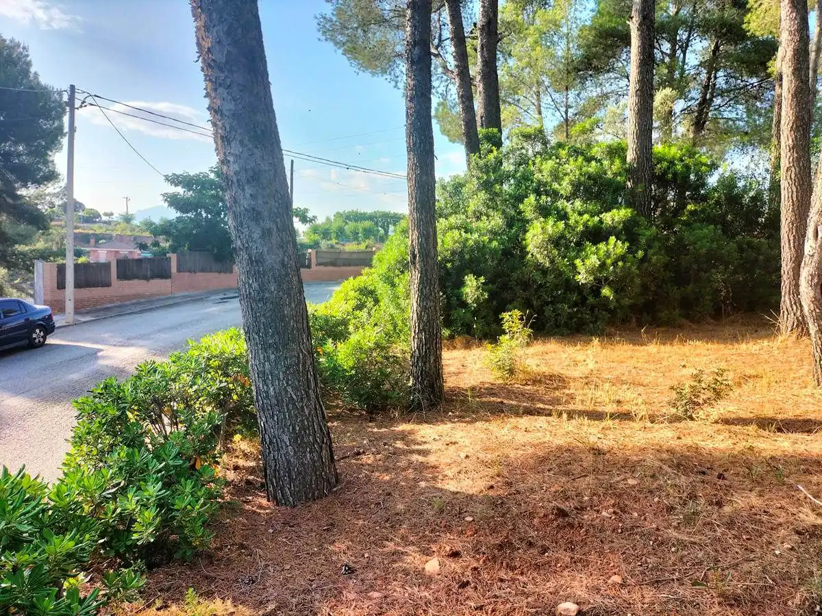 Terrenos y solares en venta en Castellbisbal, imagen 17