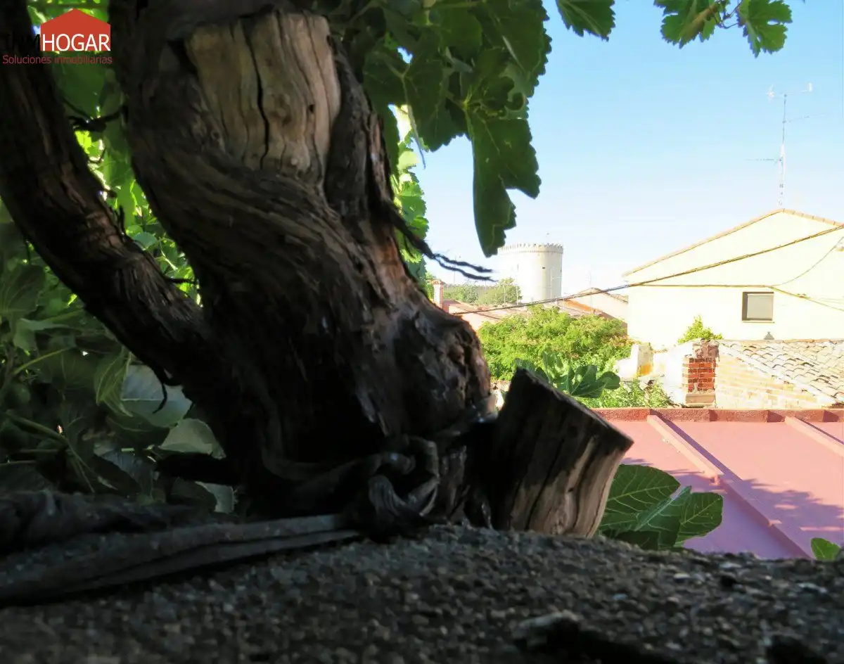 Vista exterior de Finca rústica en venta en Arévalo con Terraza y Trastero
