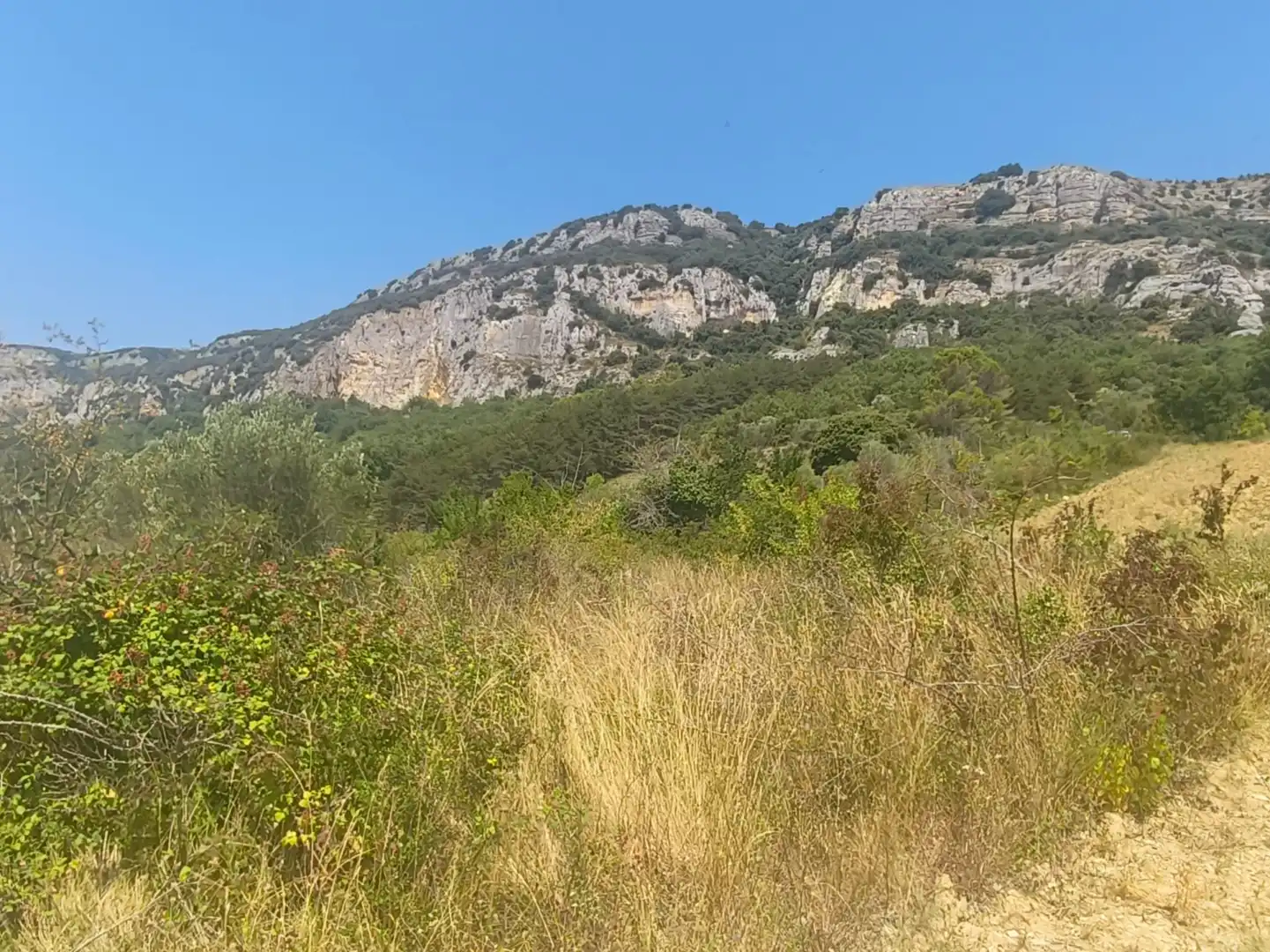 Terreno en venta en Etxauri