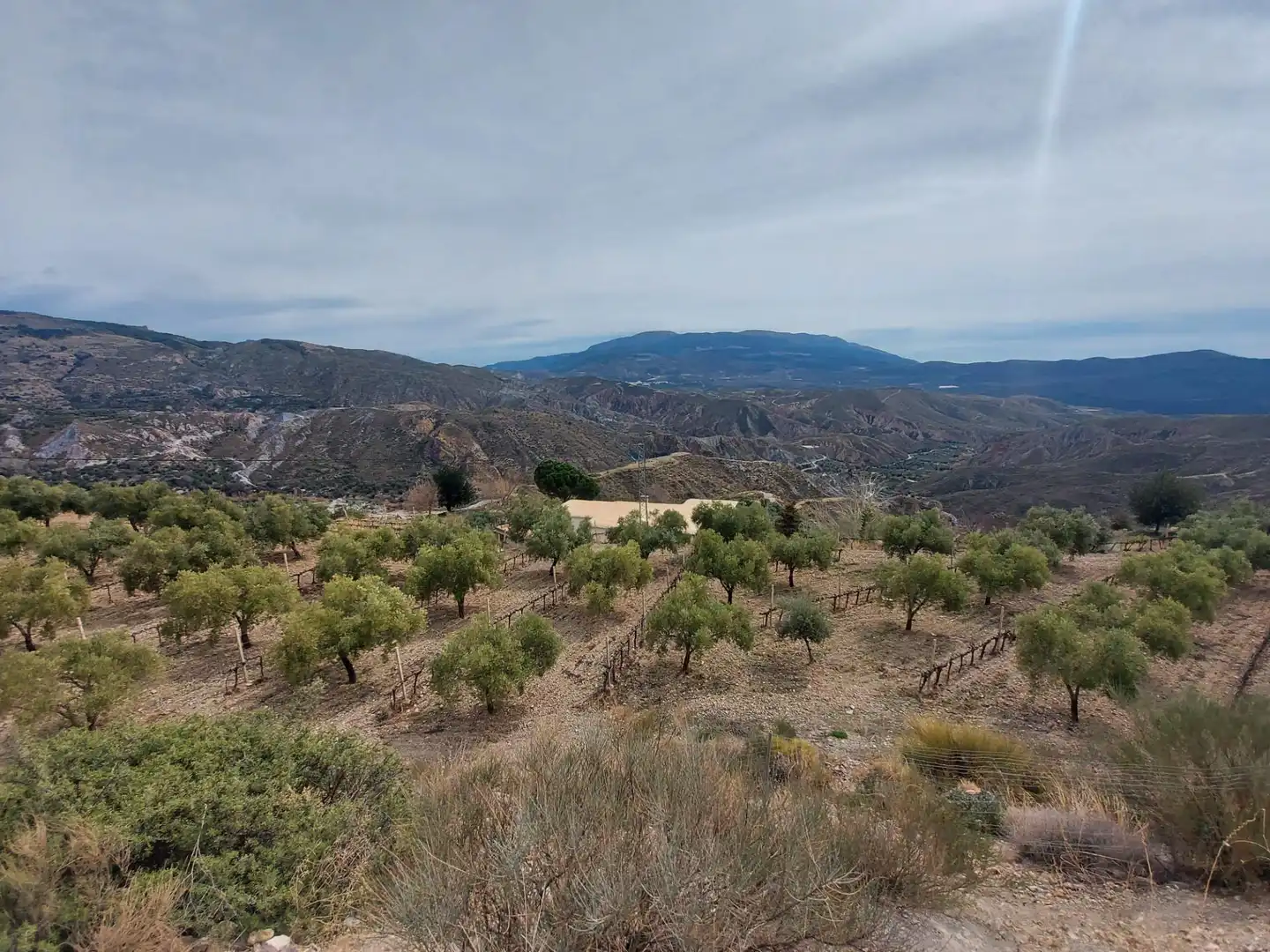Country homes for sale in Nevada