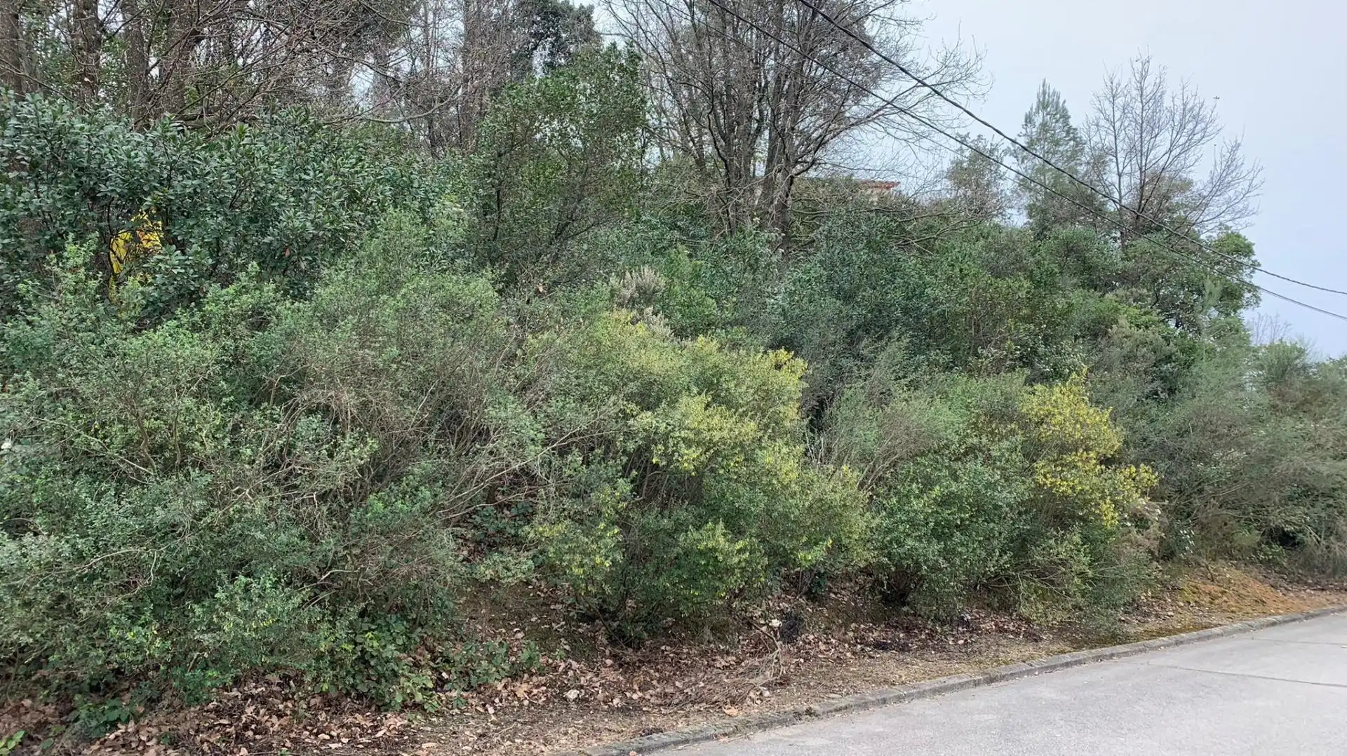 Wohnbaugrundstück zum Verkauf in Riells i Viabrea, imagen 2
