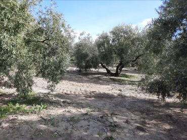 Terreny residencial en venda a Encinas Reales