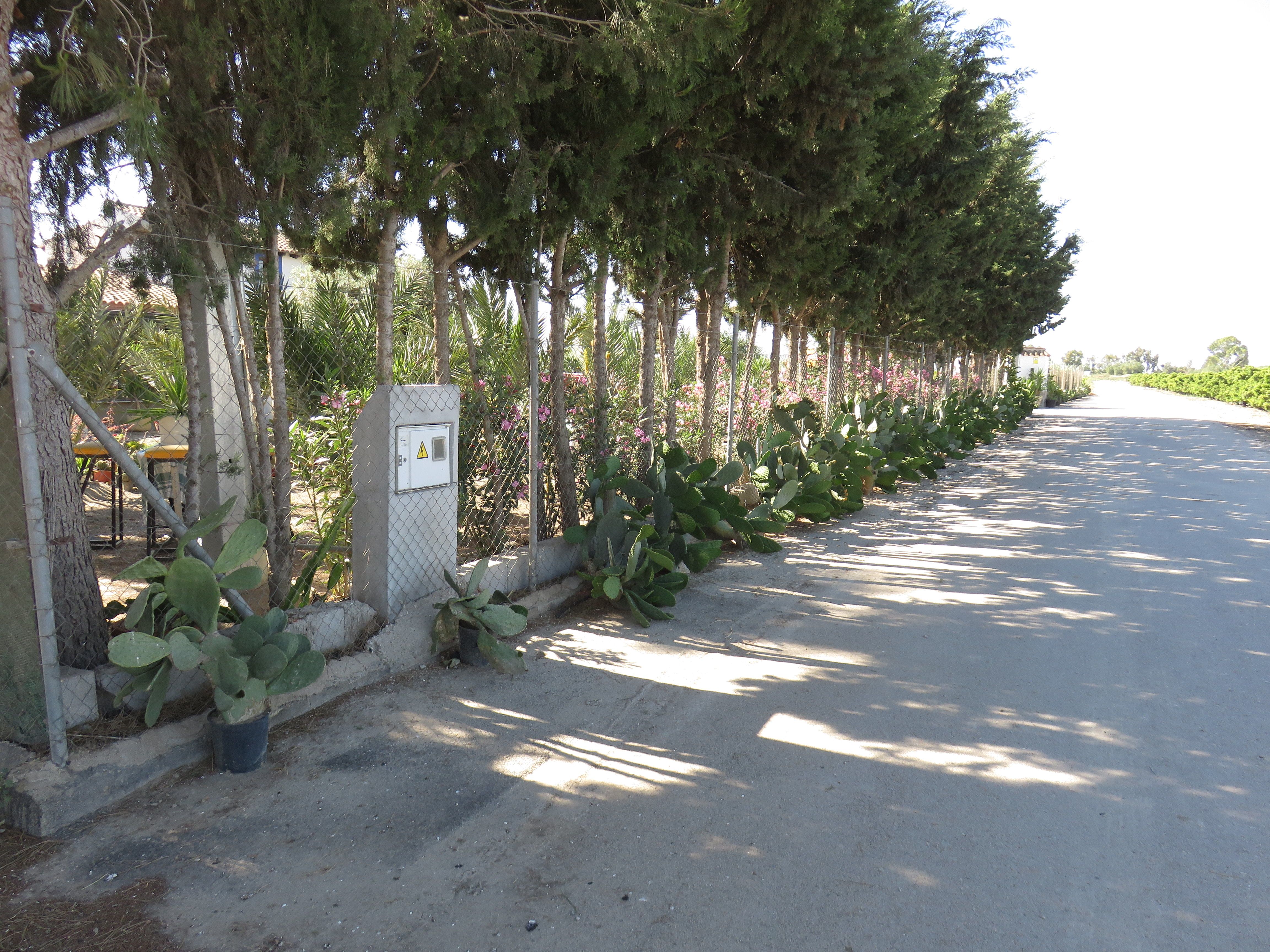 Vista exterior de Finca rústica en venda en  Murcia Capital amb Jardí privat, Terrassa i Traster