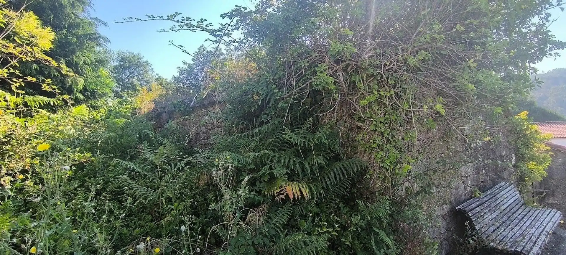 Casa o chalet en venta en Negreira