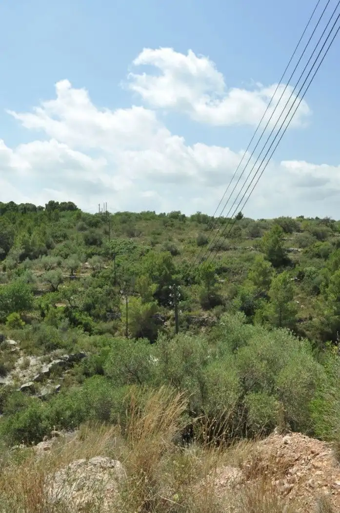 Land for sale in Camí del Barranc de la Llet, 26, Sant Llàtzer