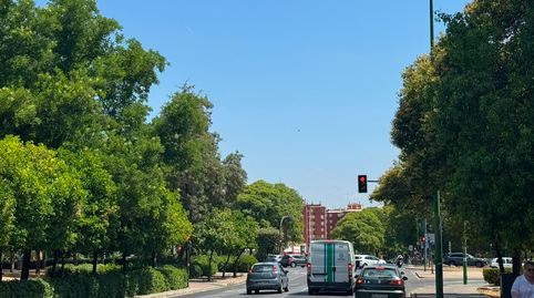 Foto 3 de Piso en venta en Calle Poeta Manuel Benítez Carrasco, 24, La Oliva, Sevilla Capital